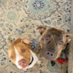 Meet your Posher, Christine jean